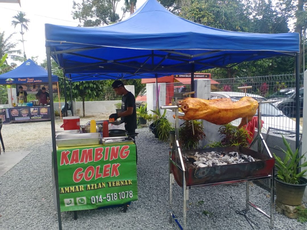 Kambing Golek Biasa (16-19 kg)