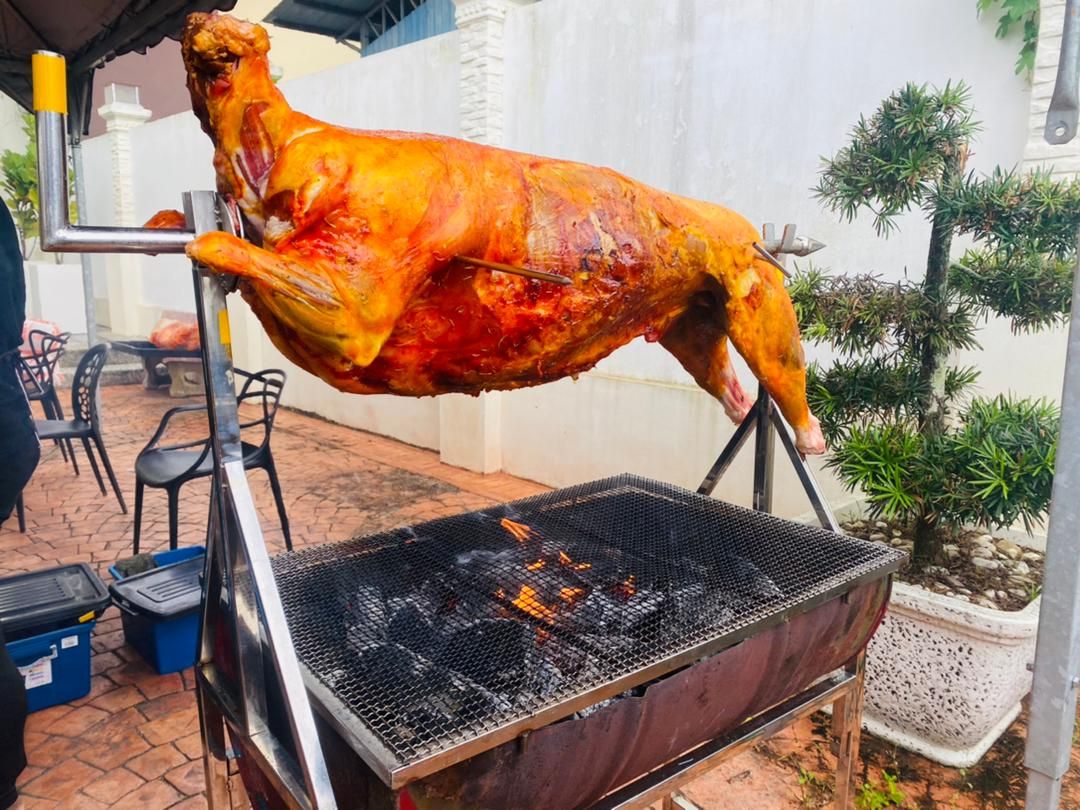 Kambing Golek akikah