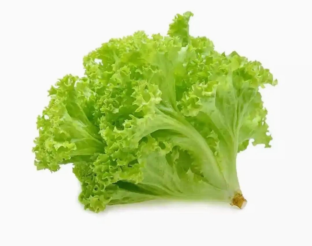 Lettuce