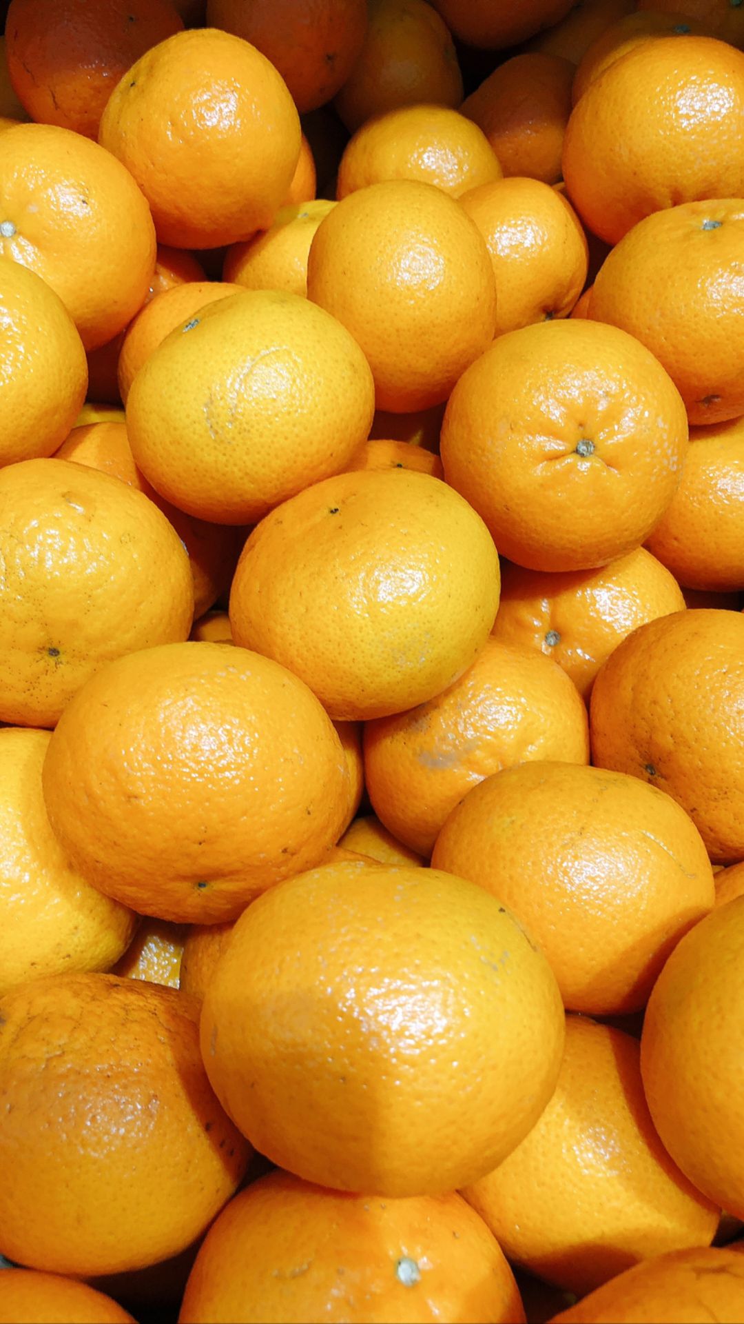 Israel Orri Mandarin