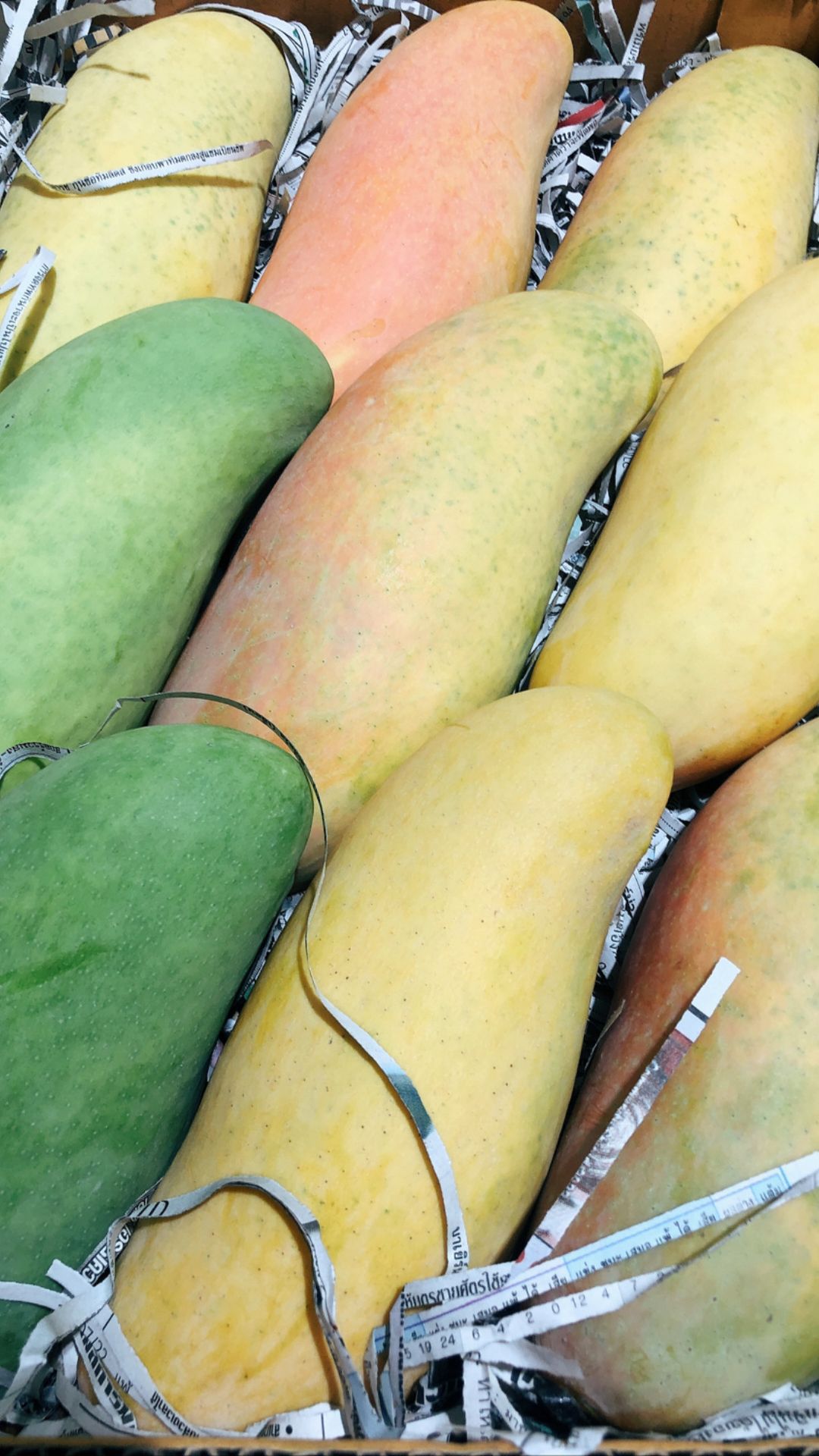 Thai Rainbow Mango