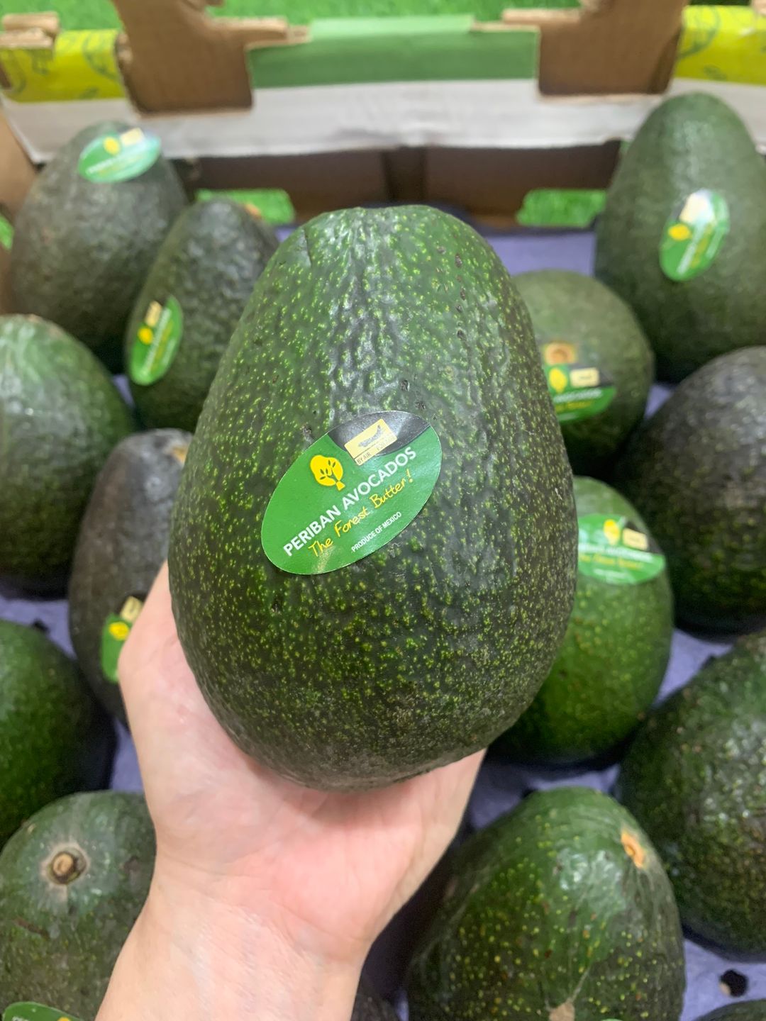 MEX JUMBO HASS AVOCADO (2pc)