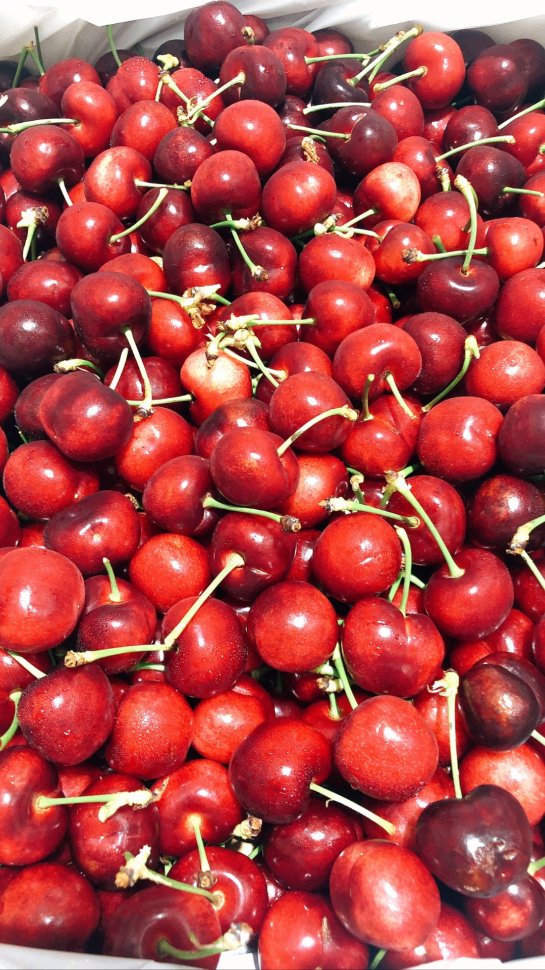 USA Cherries 8.5R