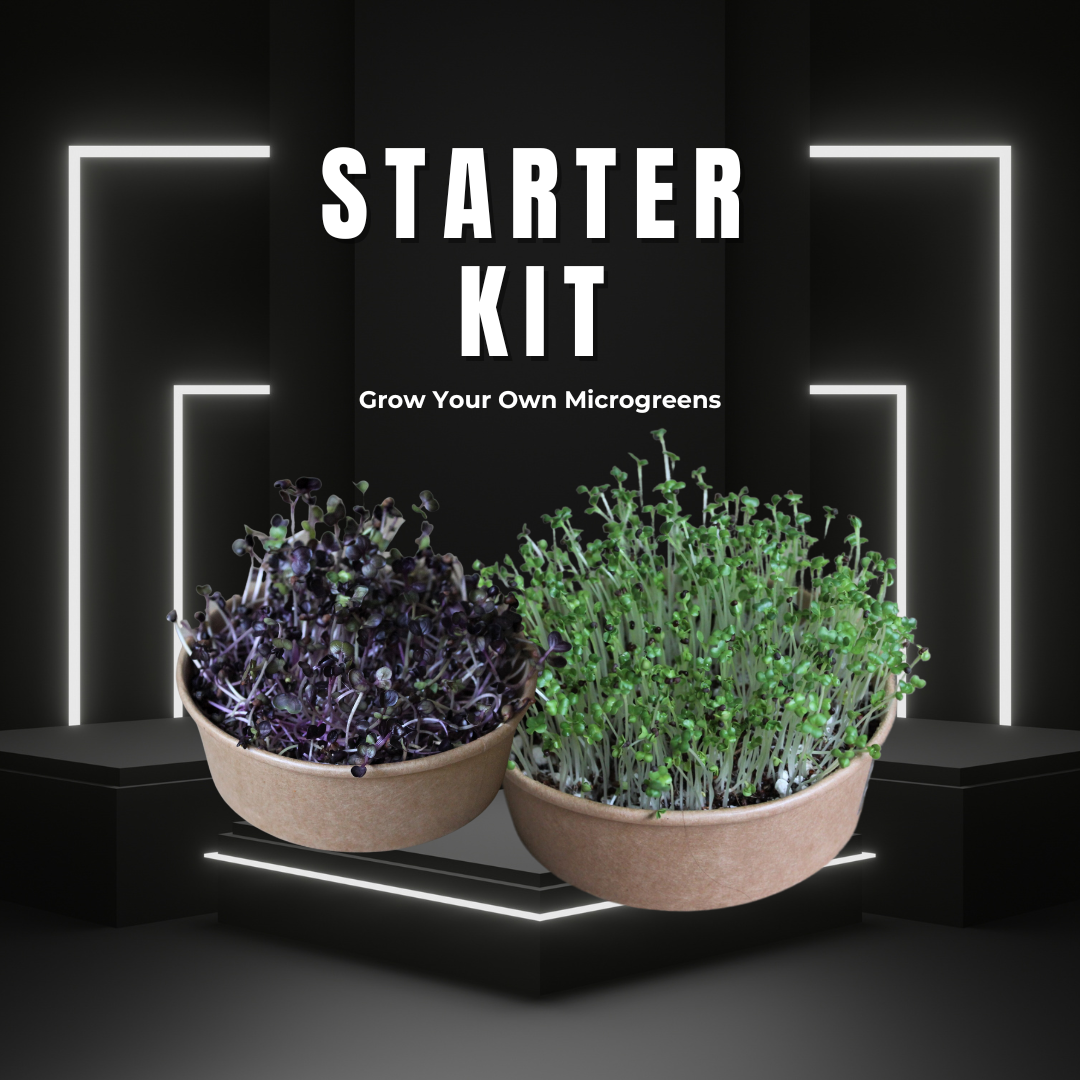 Microgreen Starter Kit