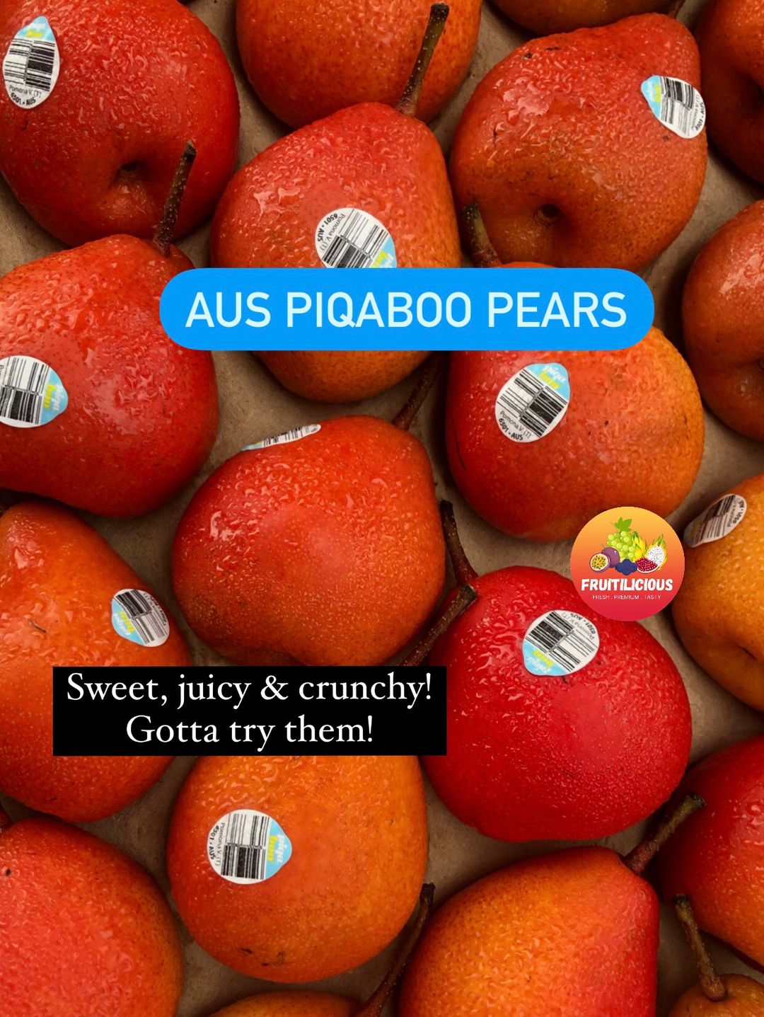 AUS PIQABOO® PEAR (3pc)
