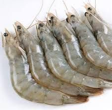 Grosse crevettes 