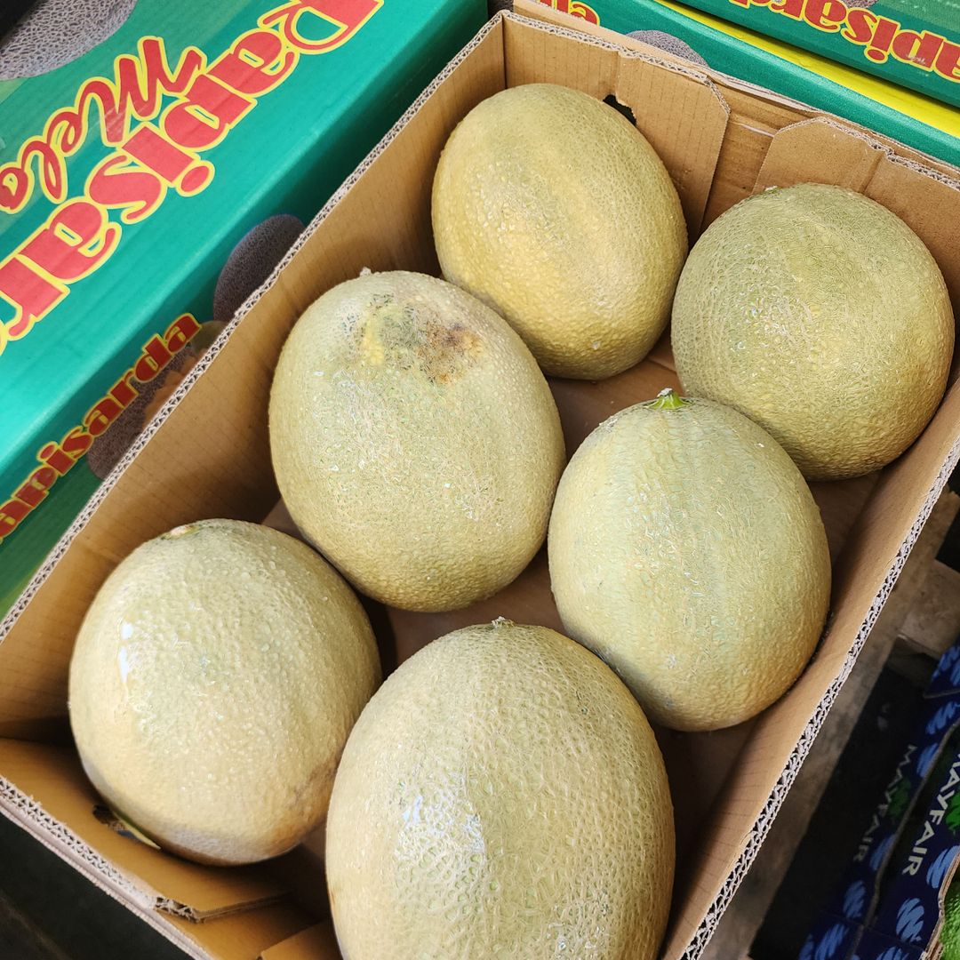 Aus Rapisarda Rockmelon (1 each)