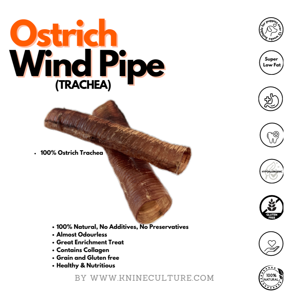 Ostrich Wind Pipe (Trachea) 🐶