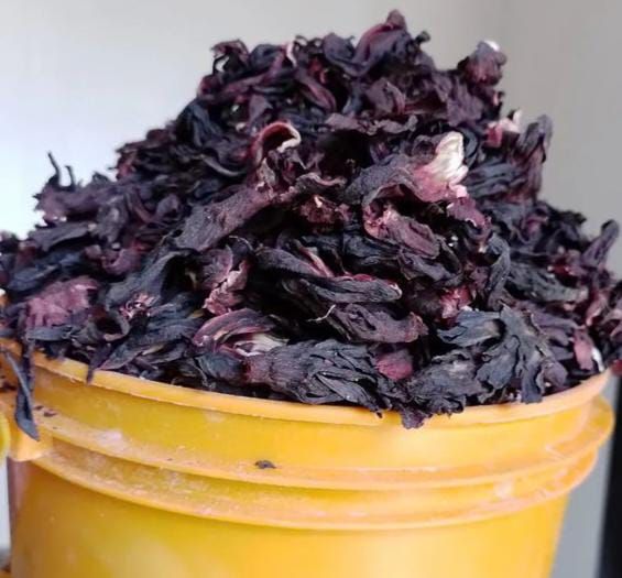 Zobo leaves