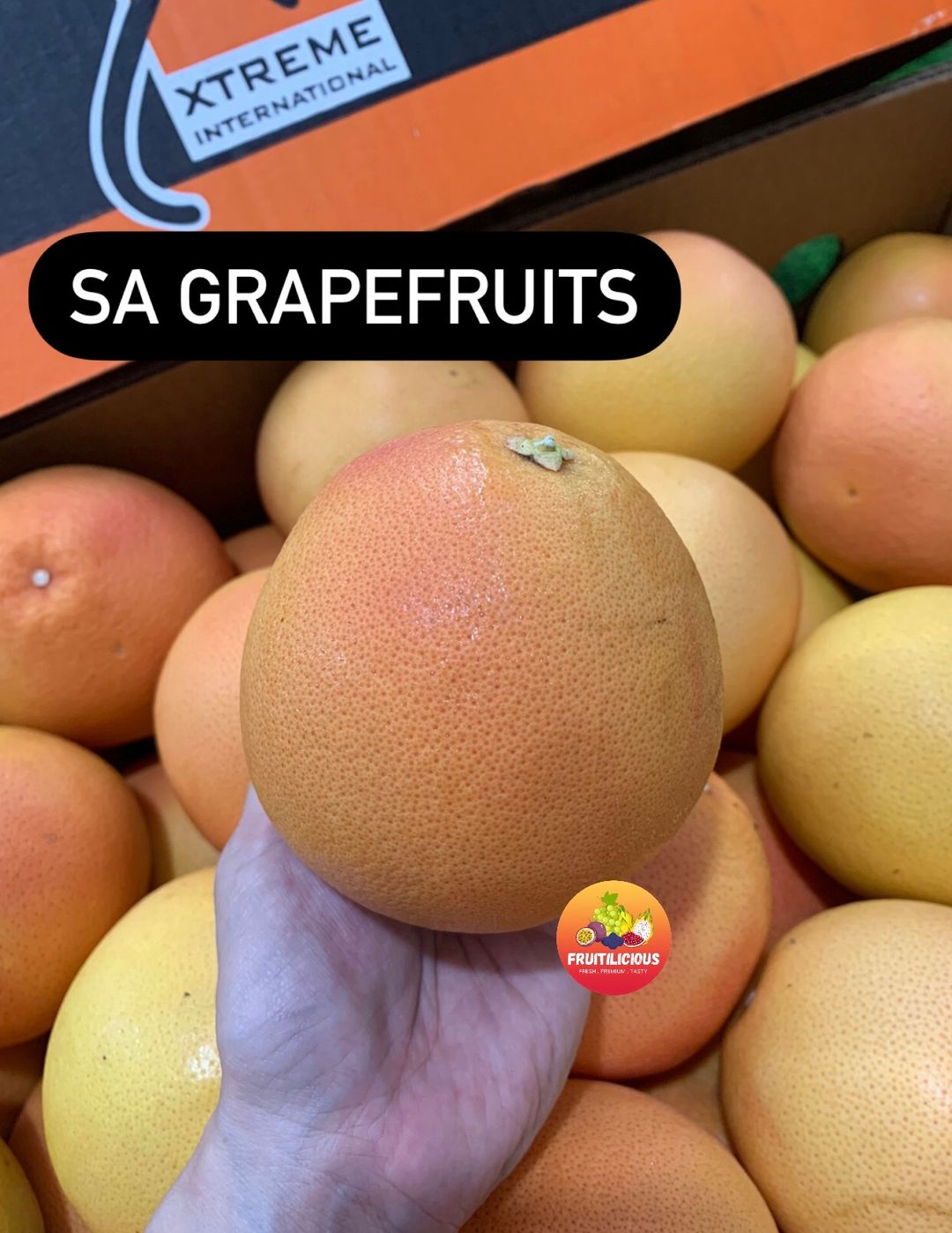 SA GRAPEFRUIT