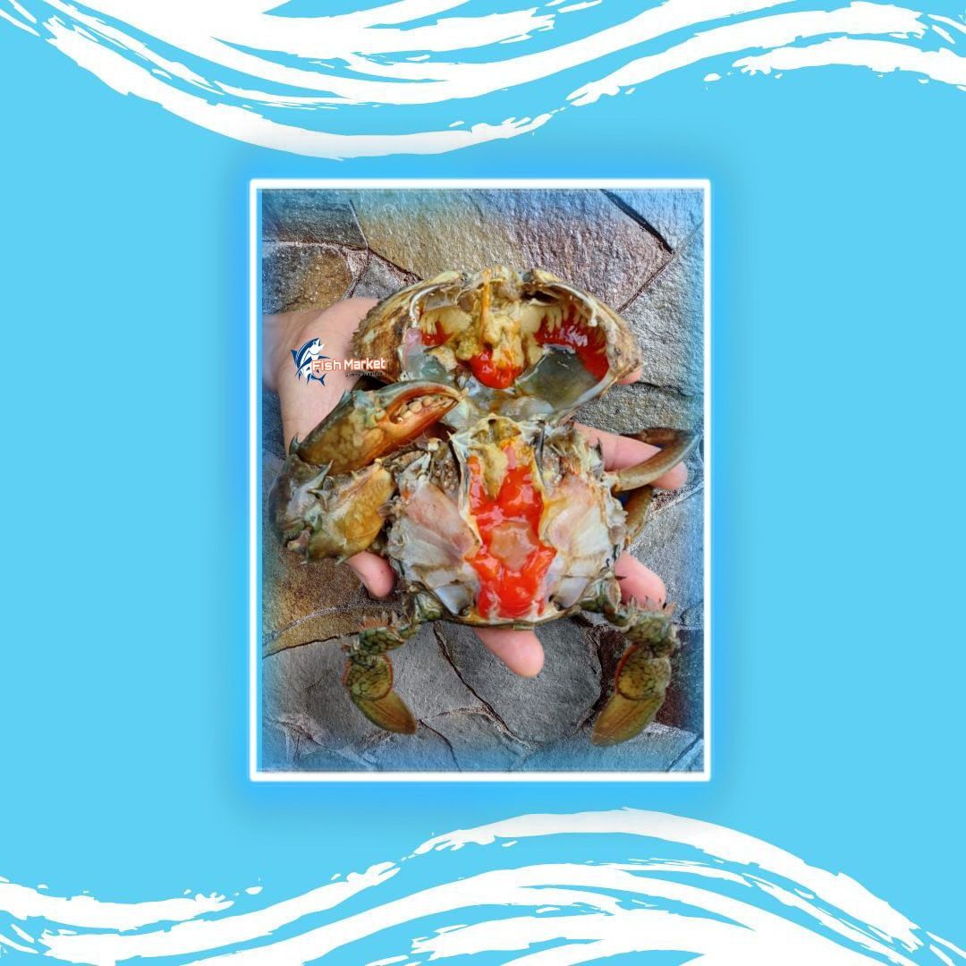 Kepiting Bakau Telur