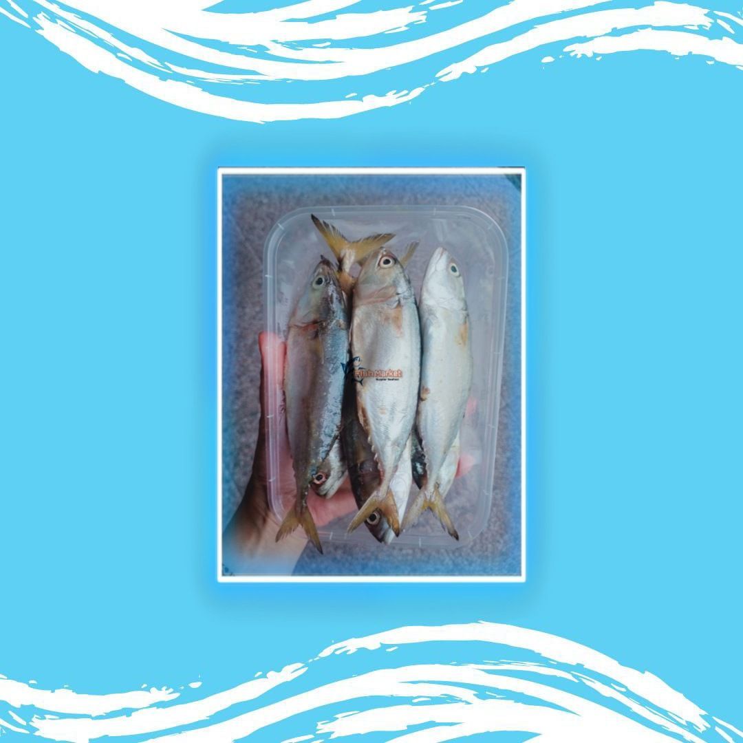 Ikan Kembung Kemasan Hemat