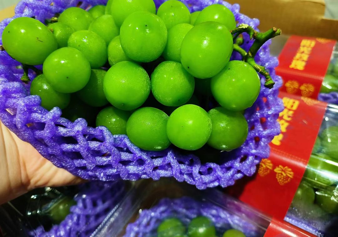 阳光玫瑰葡萄 Summer Rose Grape