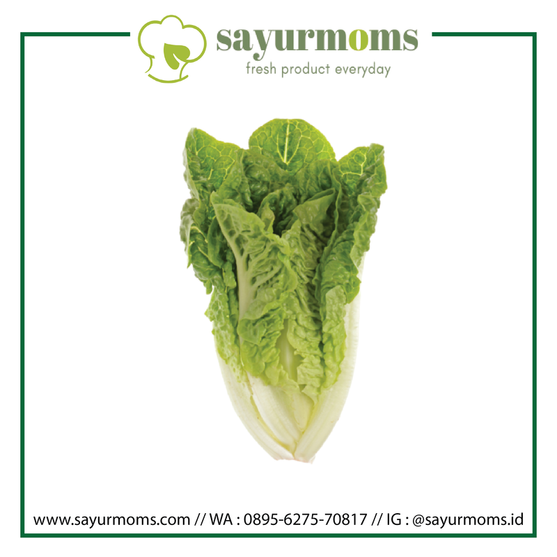 Romaine Lettuce 1kg