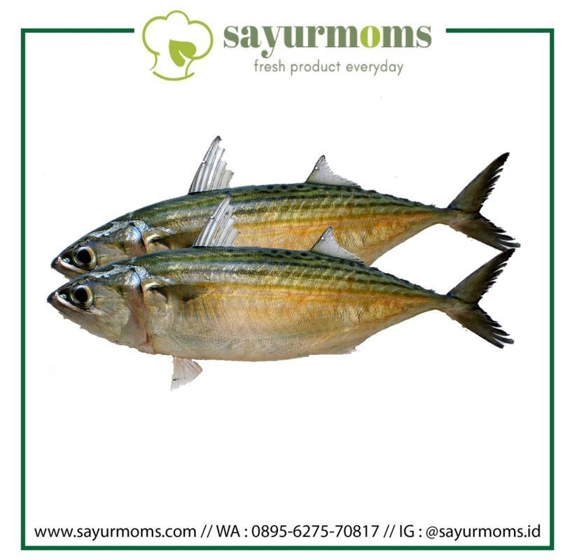 Ikan Banyar 1kg