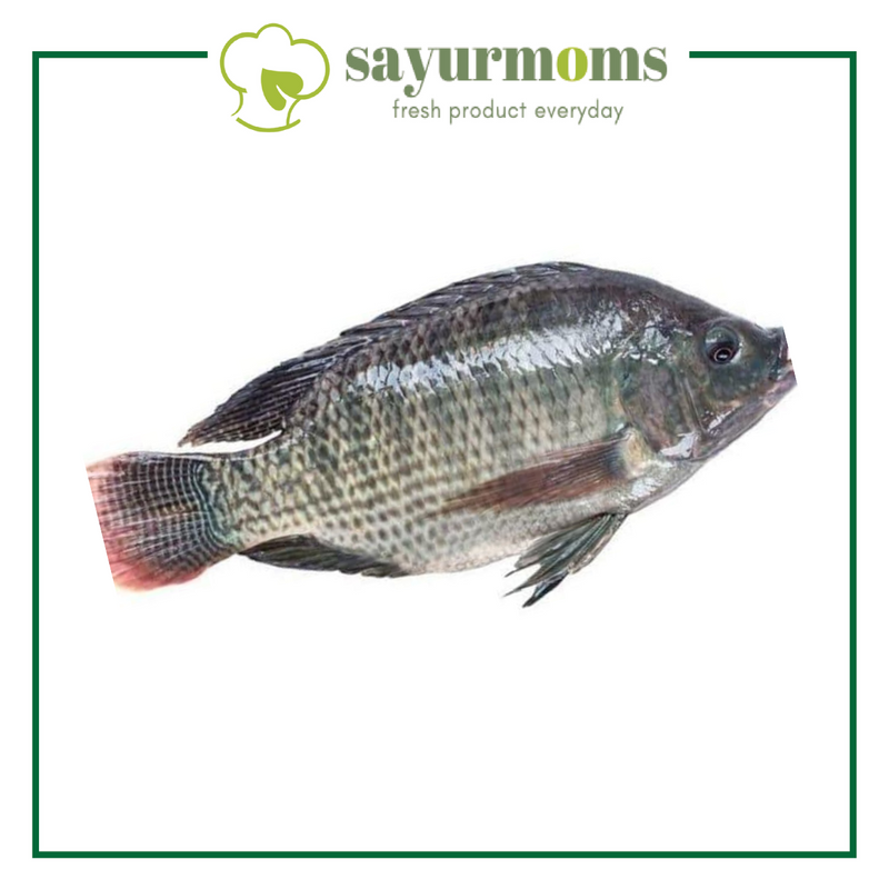 Ikan Mujair 1kg