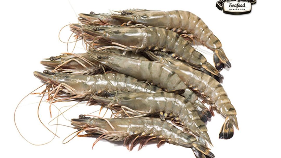 Tiger Prawn, size M, Whole / 500 gr
