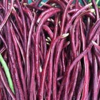 Kacang Panjang Ungu / 250 gr