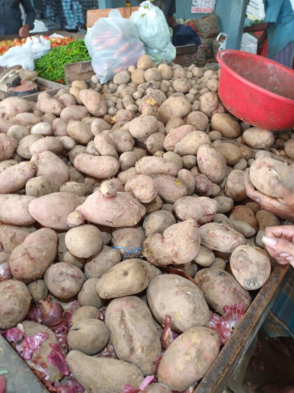 Potato உருளைக்கிழங்கு