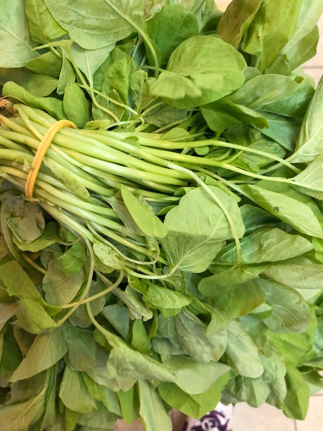 Local Grown Taiwan Baby Spinach 200g - 本地种植台湾苋菜
