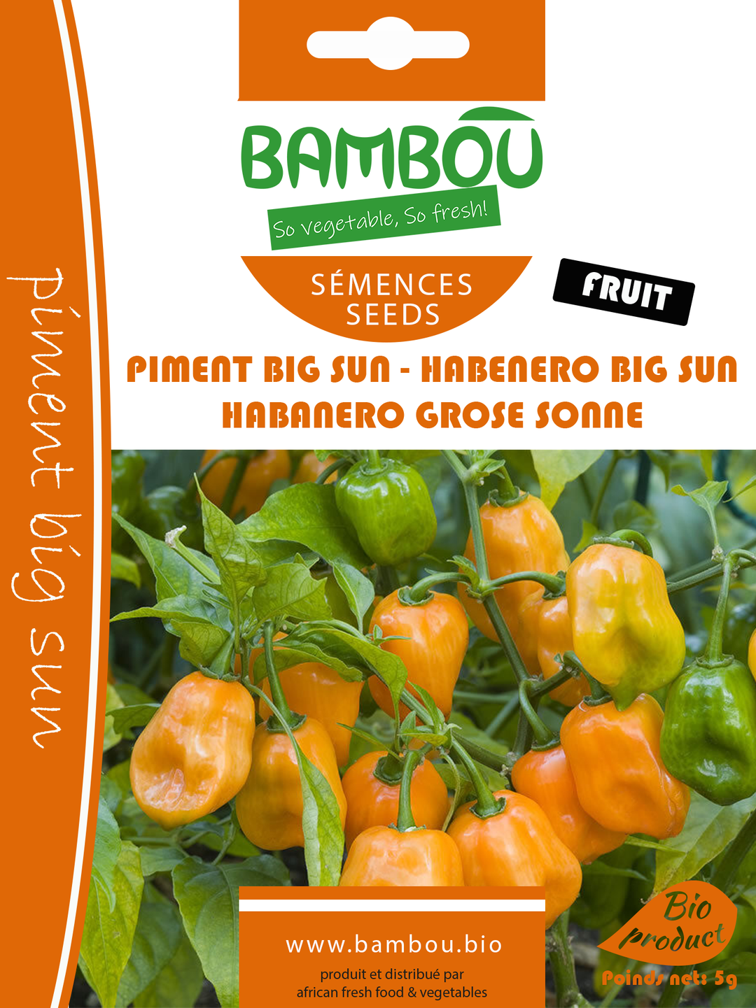 Semences piment big sun