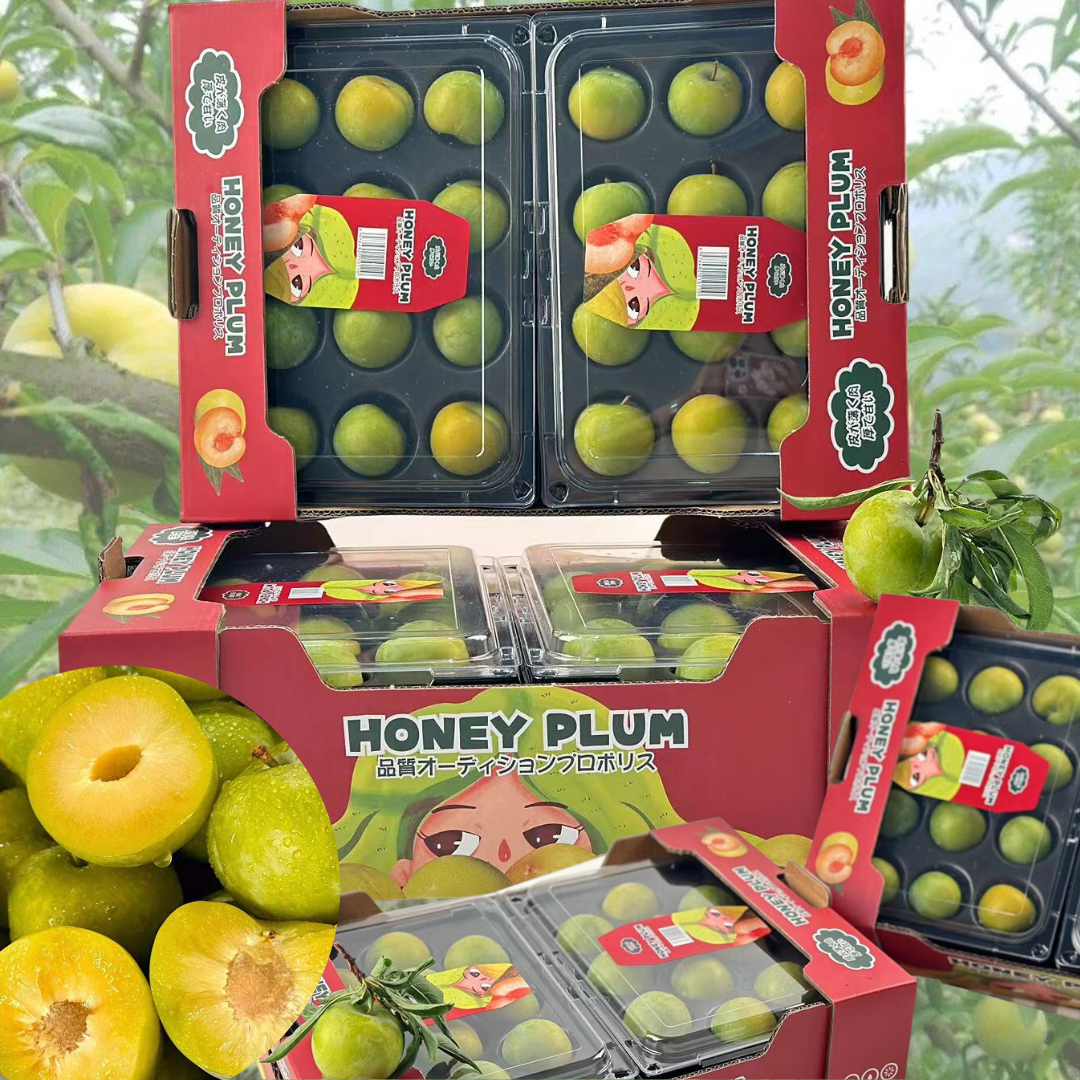 贵州蜂糖李子 Gui Zhou Honey Plum 4 in 1