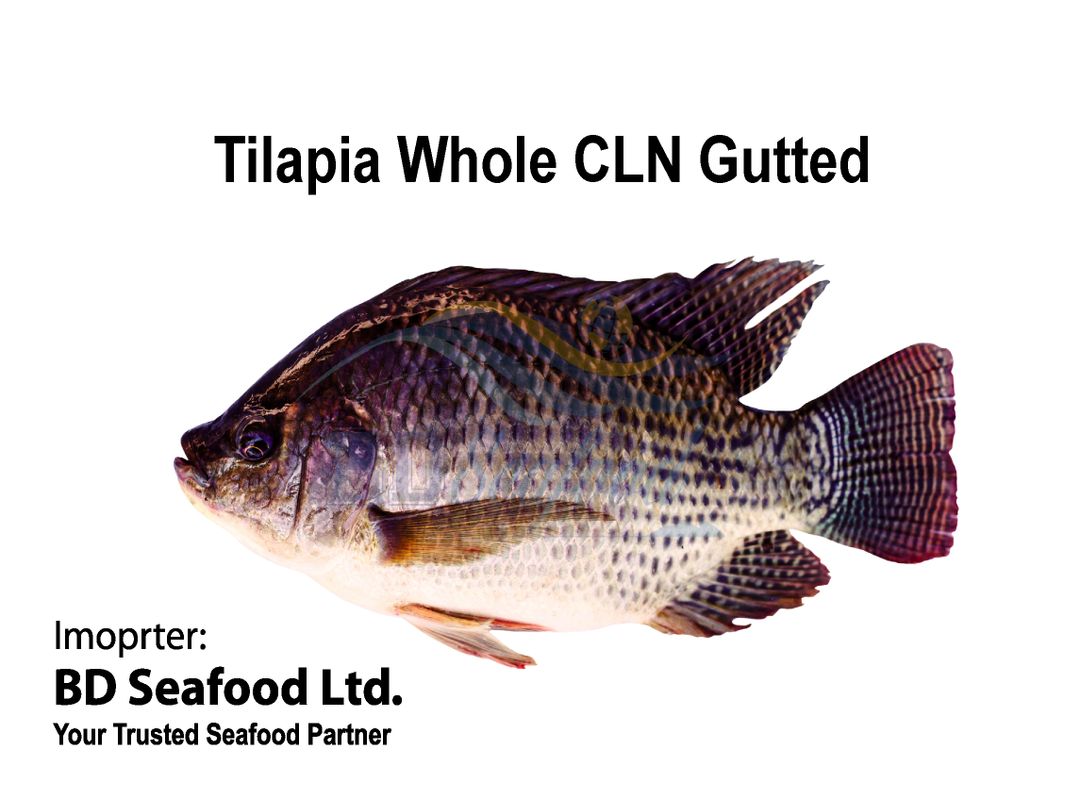 Tilapia Whole CLN Gutted