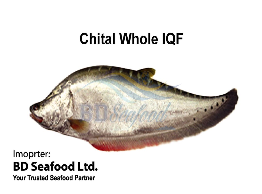 Chital Whole IQF