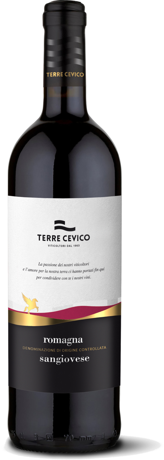 Terre Cevico Sangiovese Romagna DOC