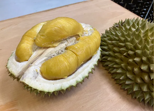 猫山王 musang king