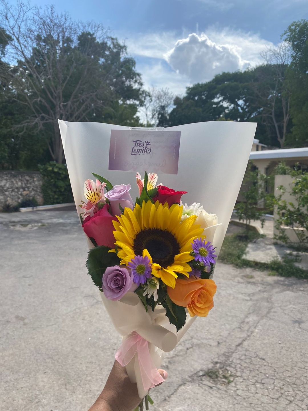 Girasol y rosas