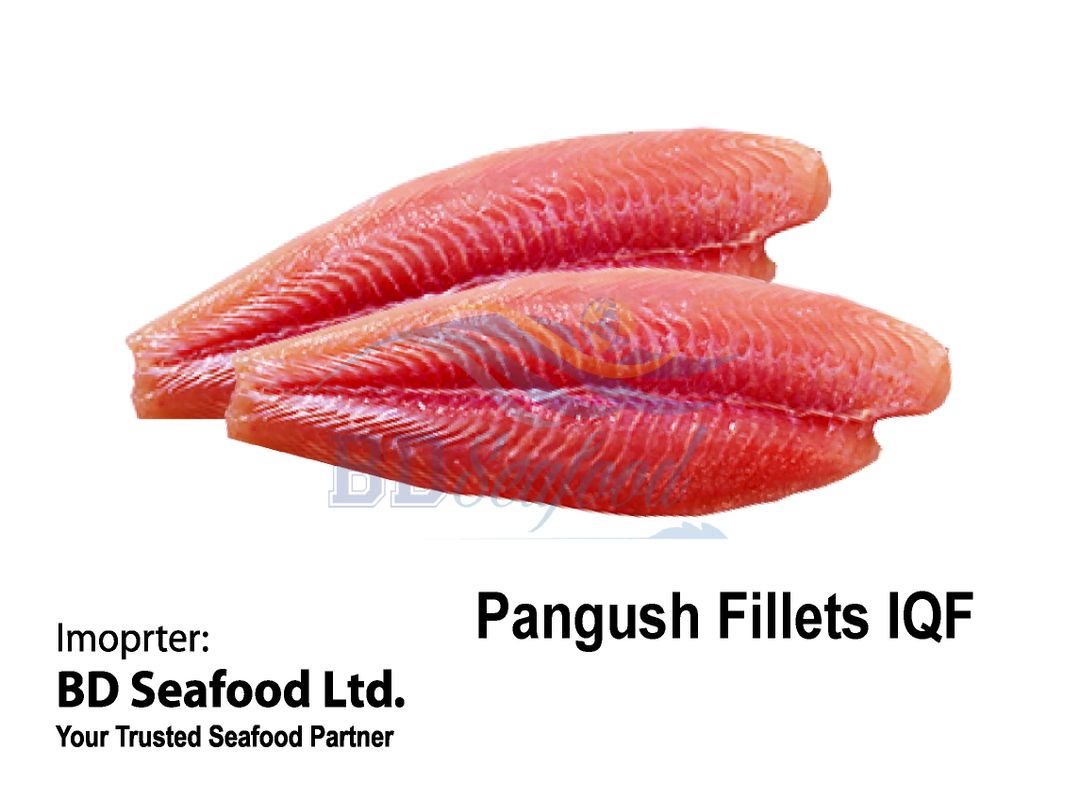 Pangush Fillets IQF 1kg*10 Pkt