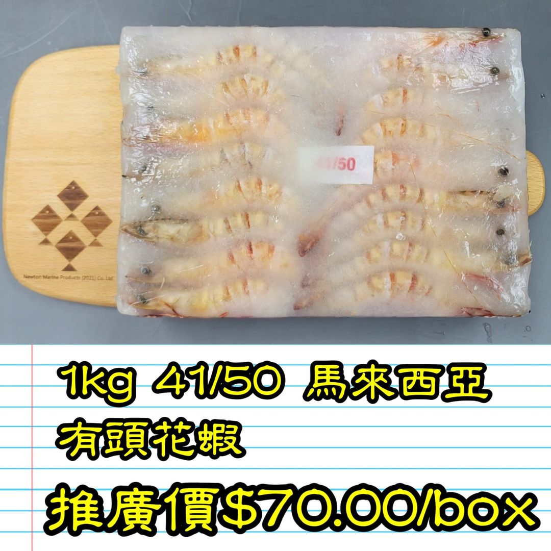 1kg 馬來西亞 有頭花蝦 41-50隻