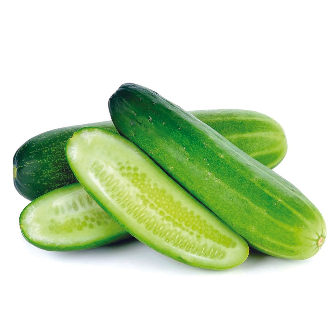 Organic Cucumber