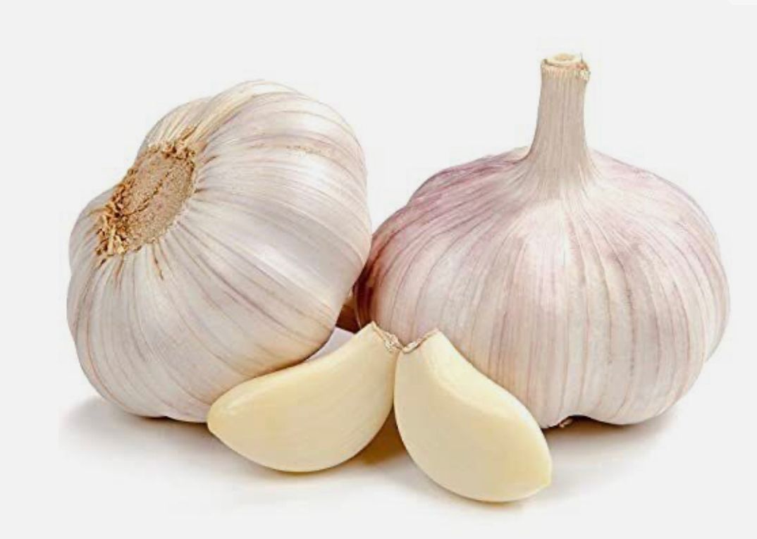 Garlic Box