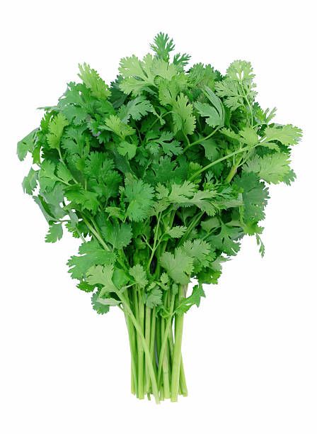 Coriander Box