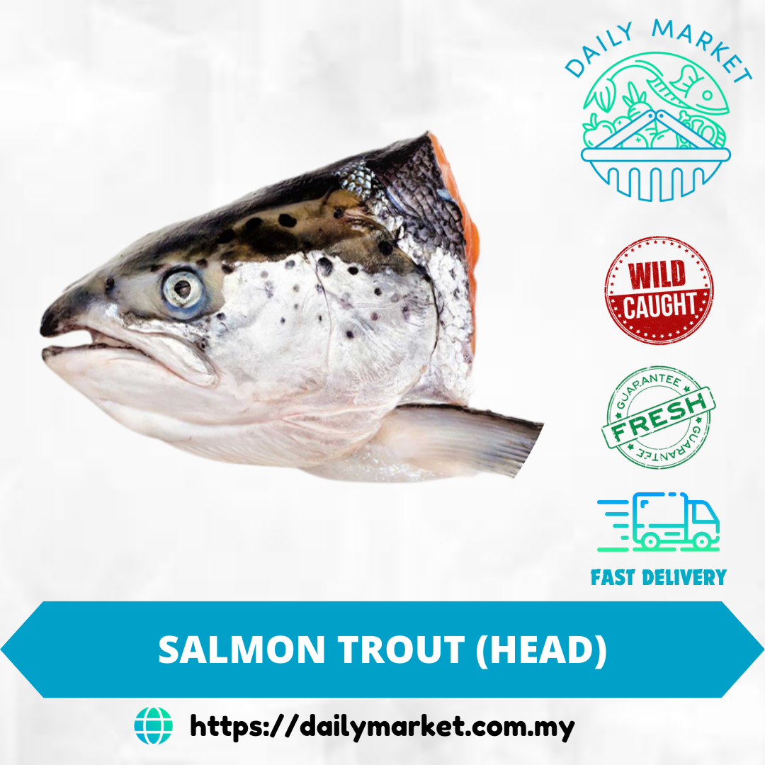 SALMON TROUT (HEAD) | IKAN SALMON (KEPALA) | 三文鱼头 @ DAILY MARKET