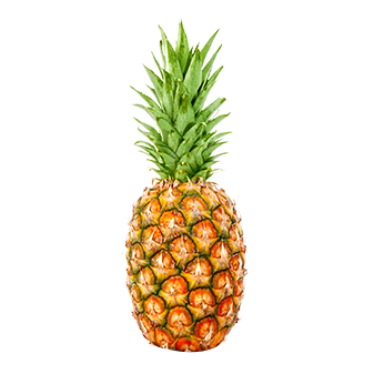 Ananas Victoria 