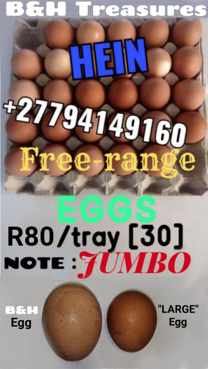 Jumbo Free Range Eggs 30