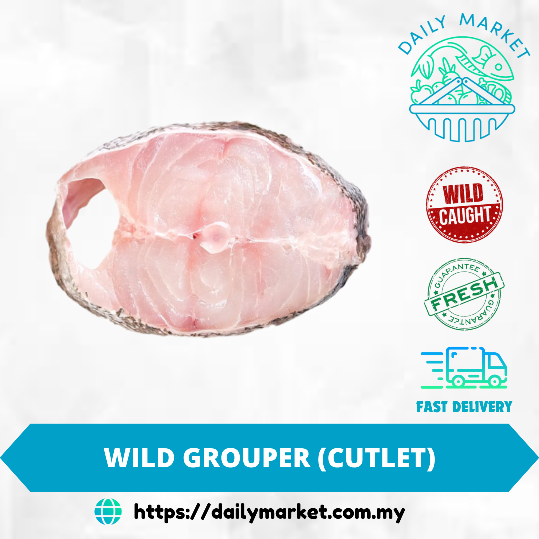 WILD GROUPER (CUTLET) | IKAN KERAPU LIAR (KEPING) | 石斑鱼切片 @ DAILY MARKET