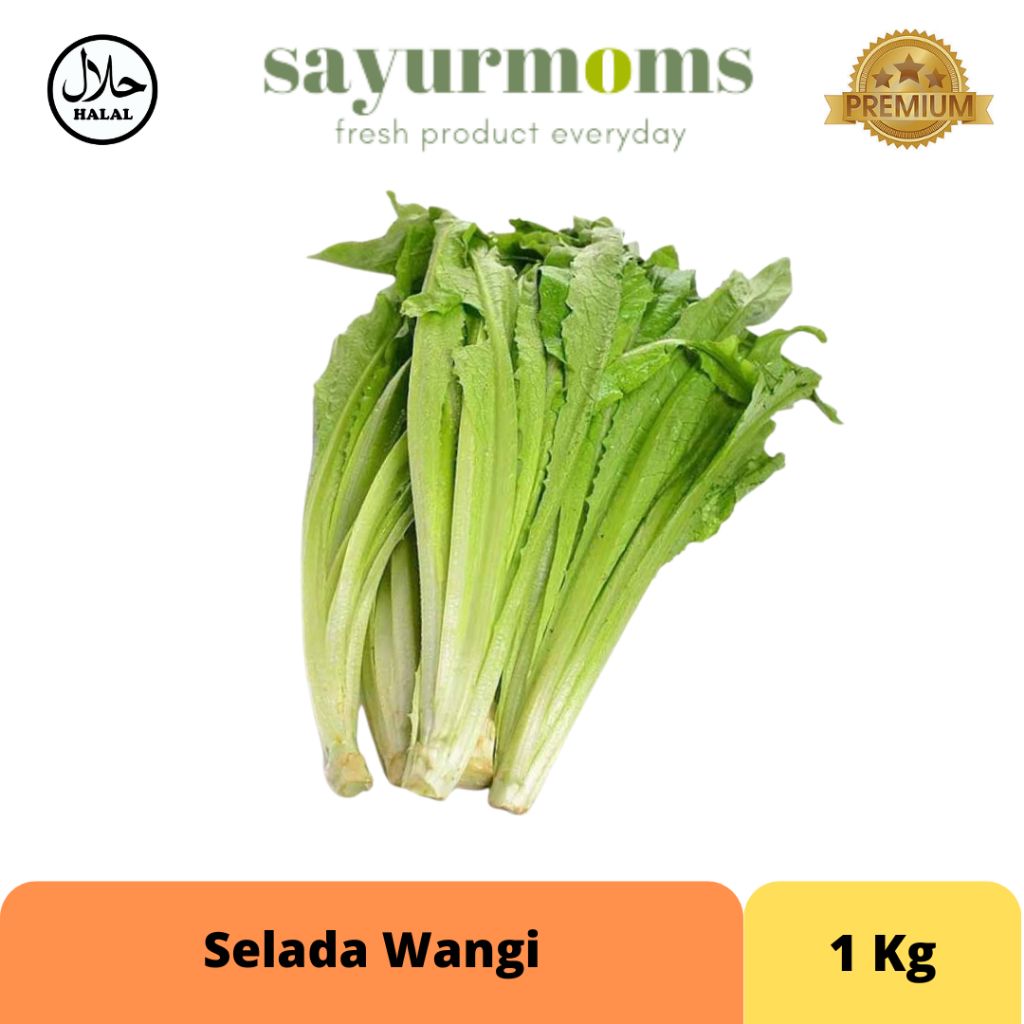 Selada Wangi 1 kg