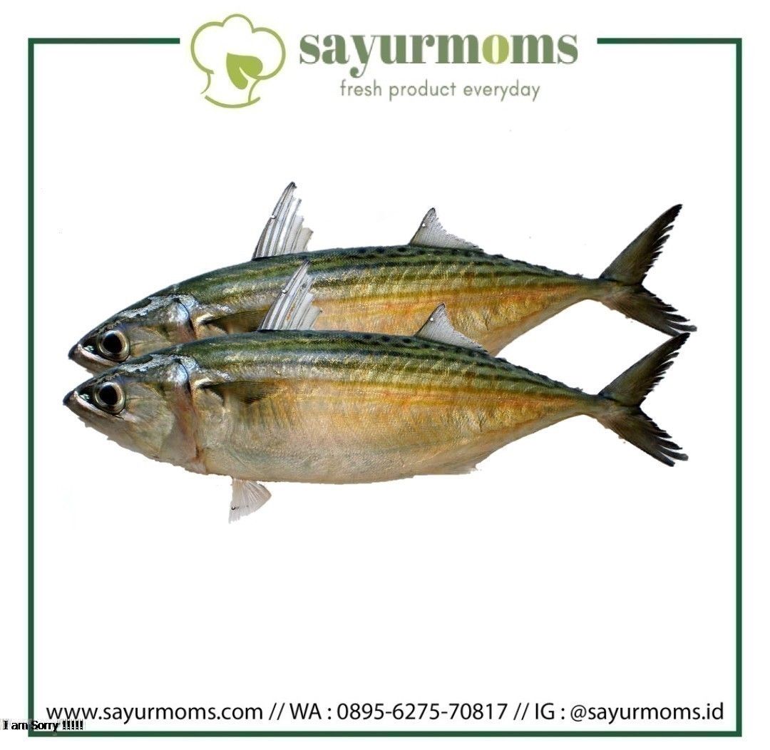 Ikan Banyar Asap 1 Pcs