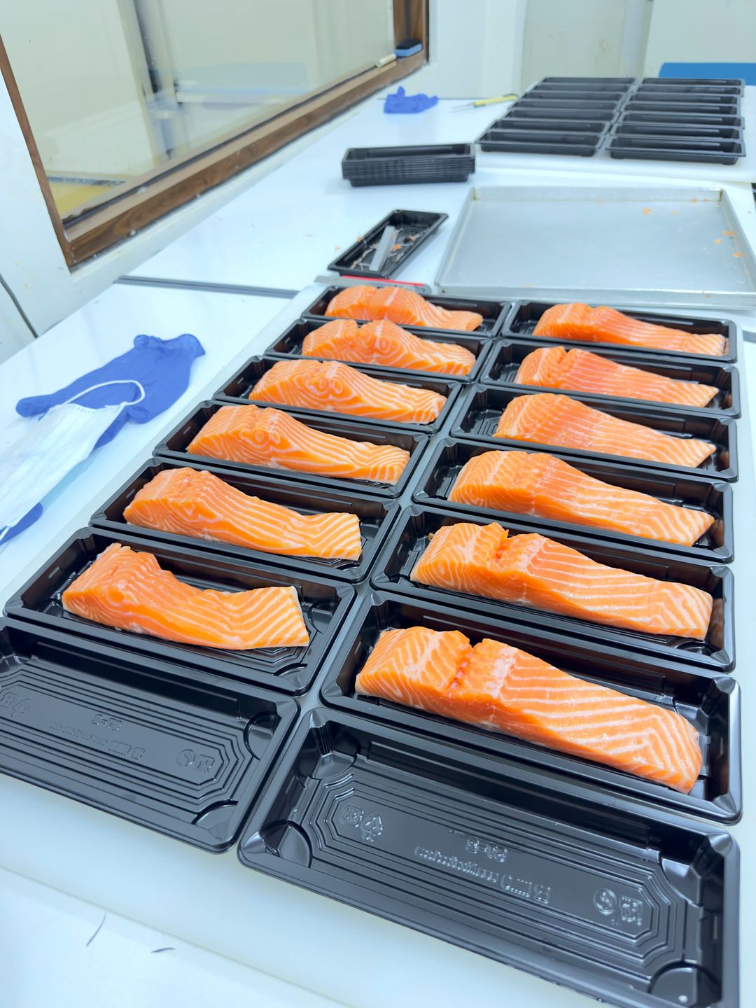 Fresh Salmon Troat Fillet (Grade Sashimi) 200gr/pax