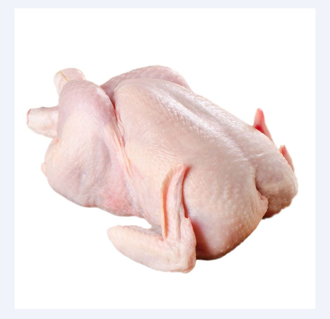 Ayam Tua (+-1.5kg)