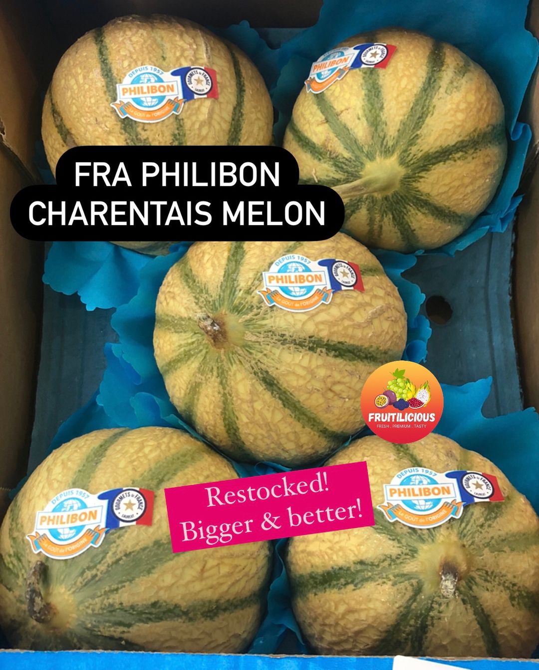 FRANCE PHILIBON CHARENTAIS MELON