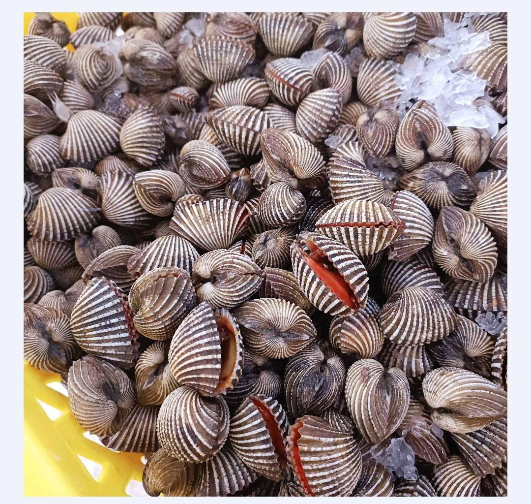 Kerang