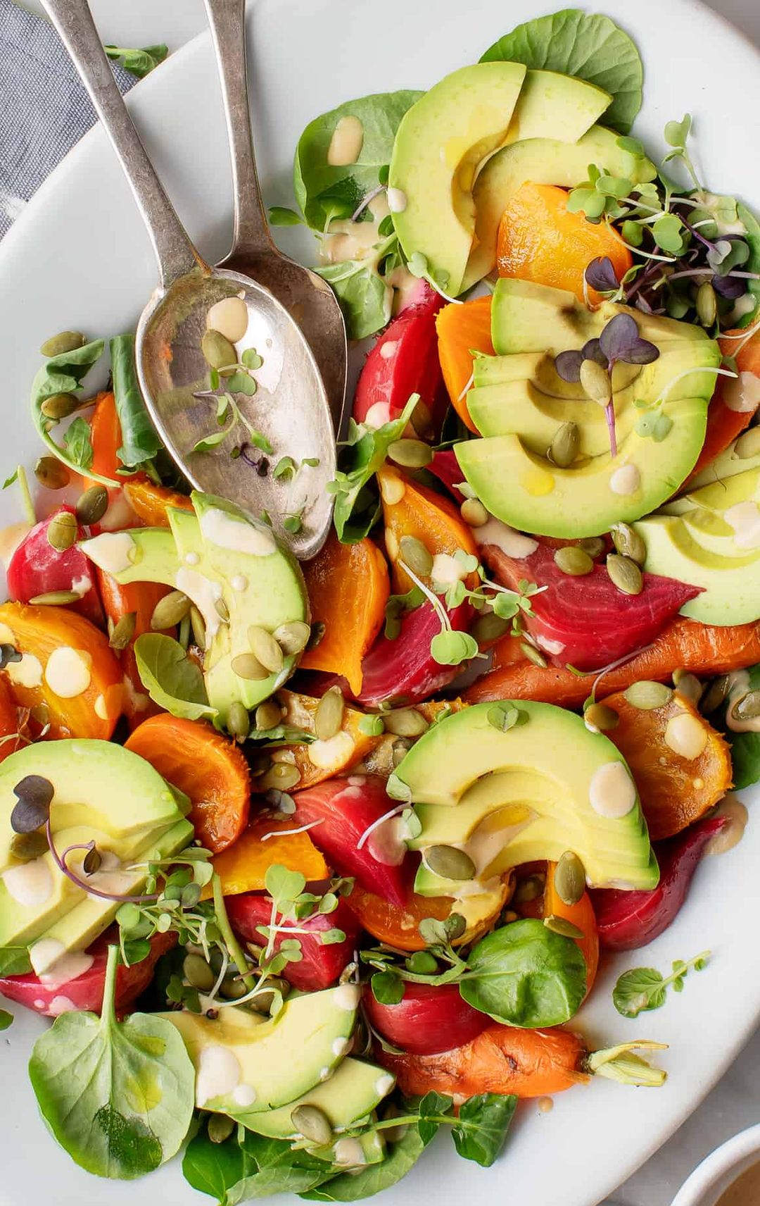 Avocado Salad