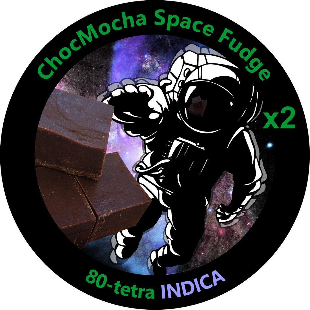 ChocMocha Space Fudge x2