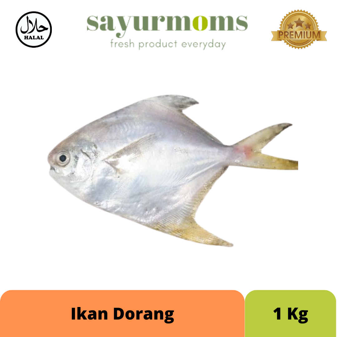 Ikan Dorang