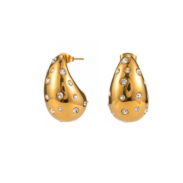 Ziconia Droplet Stud Stainless Steel Stud Earrings